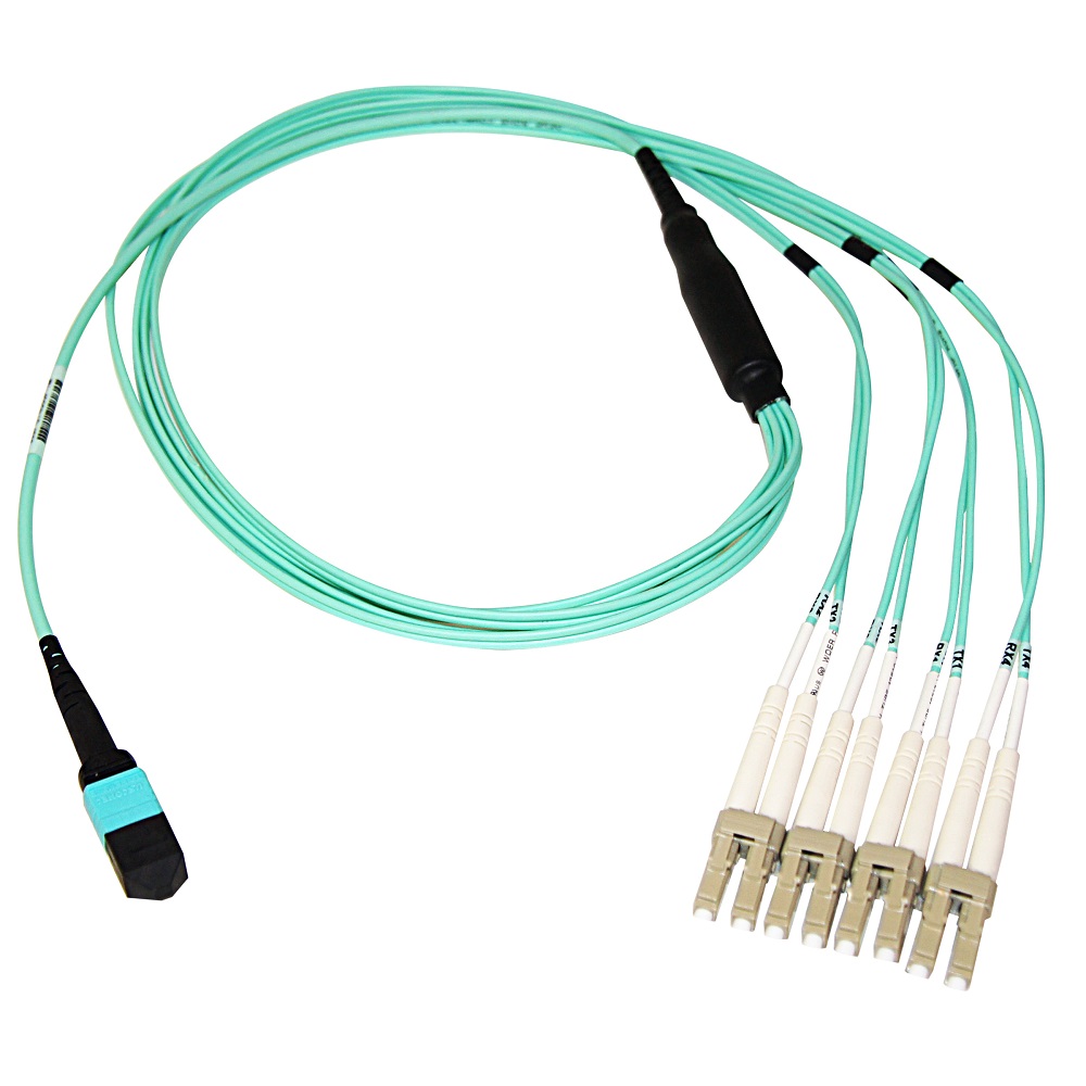 Axiom AXG96611 | Compatible with Axiom | MPO-12 to 8 fiber - LC