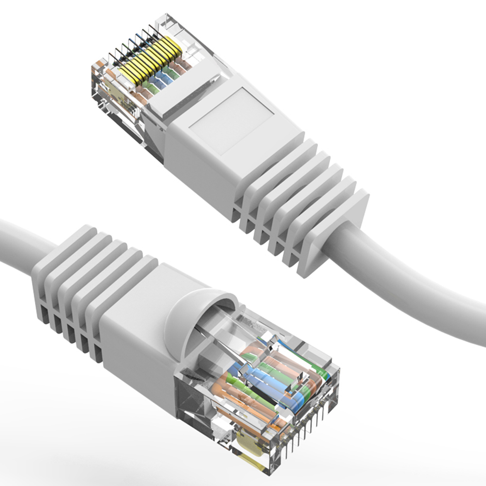 Axiom | AC-C6AMB-W4FT Axiom Memory Solution 10436-Ax ネットワーク
